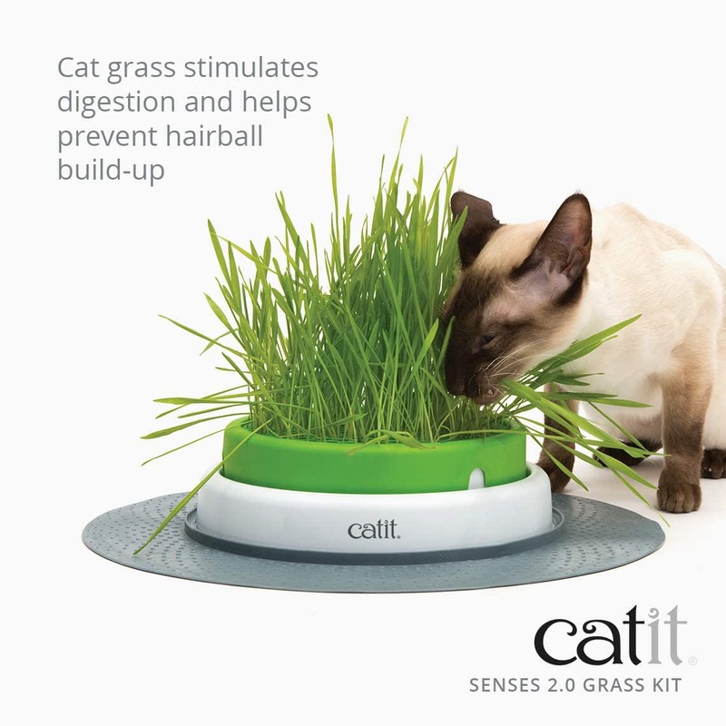 Catit Senses 2.0 Cat Grass Kit, 3-Pieces, Brown