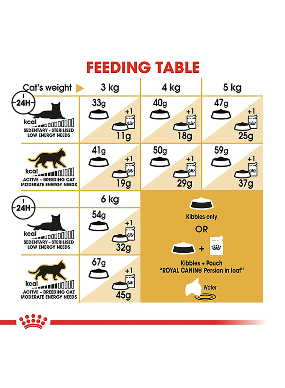 Royal Canin Feline Breed Nutrition Persian Adult Cat Dry Food, 4 Kg