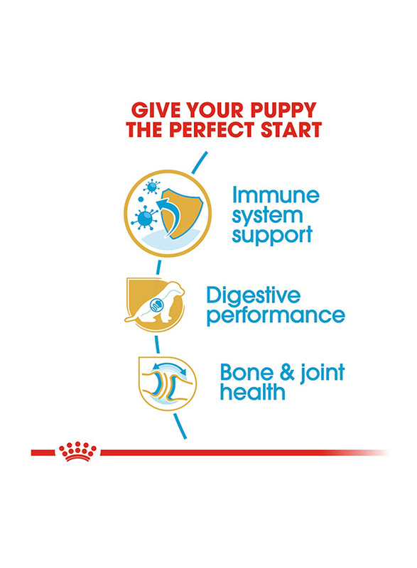 Royal Canin Breed Health Nutrition German Shepherd Puppy Dog Dry Food, 3 Kg
