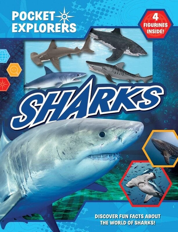 

Sharks Pocket Explorers, Paperback Book, By: Phidal Publishing Inc.