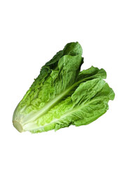 Romaine Lettuce United States of America, 500g