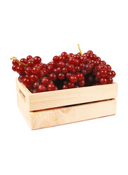From Egypt Red Seedless Grapes Case, 4Kg