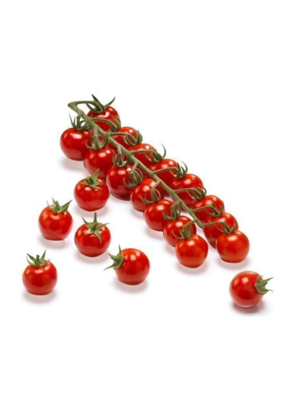 Cherry Tomatoes in Vine Spain, 500g (Approx)