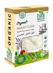 Farm Organic Gluten Free Barley Flour, 1 Kg