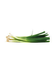 Spring Onion United States of America, 200g