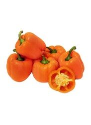 Organic Orange Capsicum UAE, 450g (Approx)