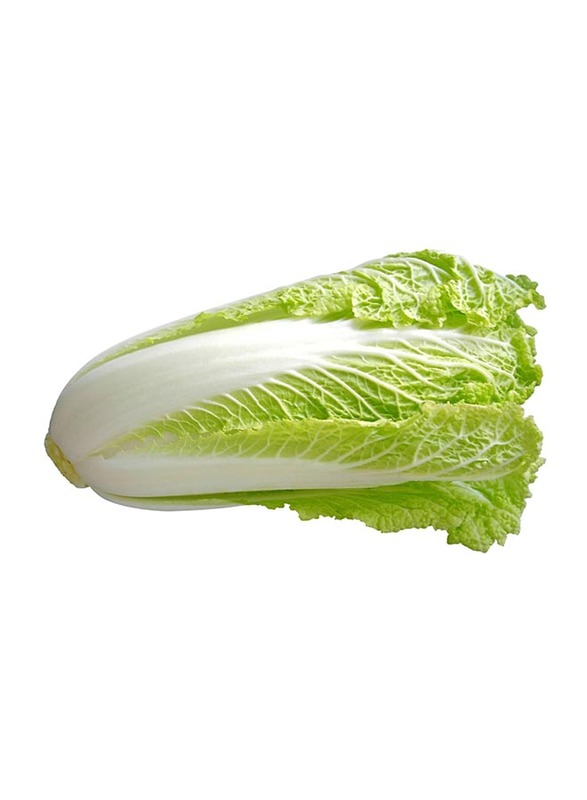 Chinese Cabbage, 1 Piece, 500 to 600g (Approx)