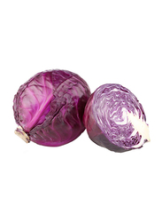 Red Cabbage UAE, 1 Piece, 600 to 700g (Approx)