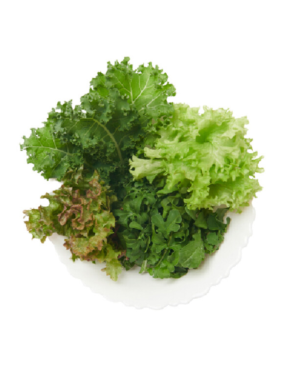 

Generic From UAE Madar Farms Great to Have Salad Mix, 100g