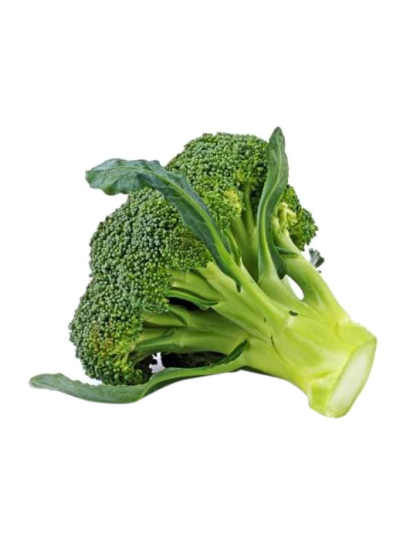 Green Broccoli Spain, 1 Piece, 300g (Approx)