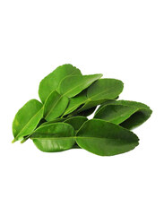 Lime Leaves Thailand, 500g (Approx)