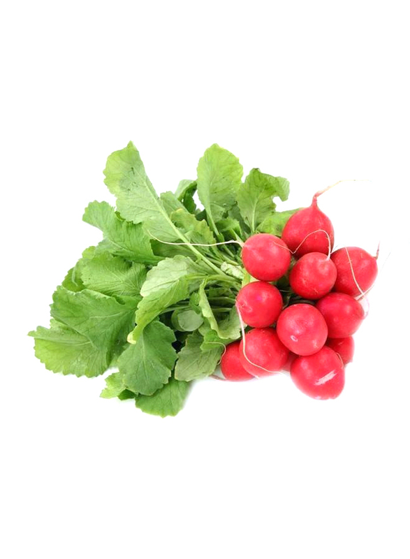 Red Radishes Holland, 125g (Approx)