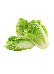 From Belgium Chinese Cabbage Napa Cabbage, 600g