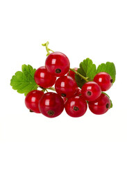 Redcurrant Holland, 125g (Approx)