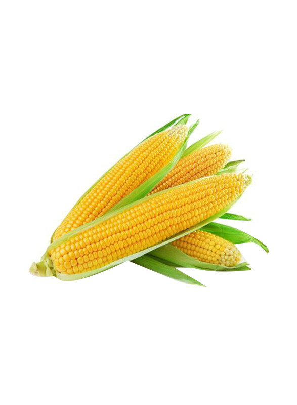 

Generic Organic Sweet Corn UAE, 500g