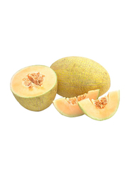 Sweet Melon Morocco, 1.1 Kg (Approx)