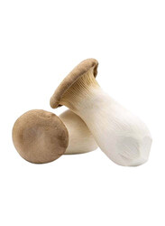 Oyster King Mushroom China, 500g (Approx)