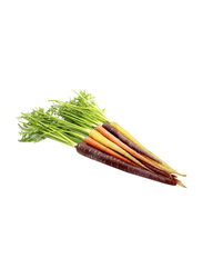 Rainbow Baby Carrot South Africa, 250g (Approx)