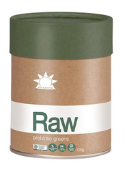 Amazonia Raw Organic Prebiotic Greens Powder, 120gm