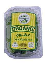 Organic snack Cucumber UAE, 250g