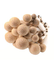Brown Shimeji Mushroom China, 150g (Approx)