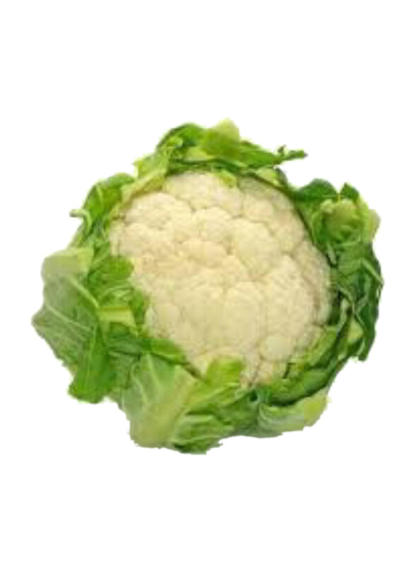 

Organic Cauliflower UAE, 1 Piece, 400 to 800g (Approx)