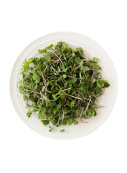 From UAE Madar Farms Arugula & Kale Microgreens Mix, 10g