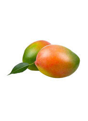 From Australia Mango Keitt, 600 to 800g