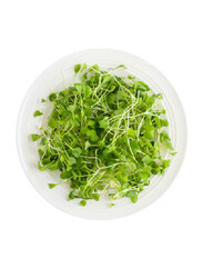 From UAE Madar Farms Arugula Microgreens, 10g