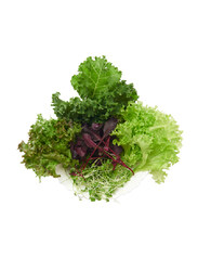 From UAE Madar Farms Kickin' Krunch Salad Mix, 100g