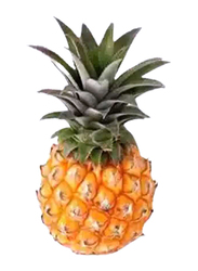 Baby Pineapple South Africa, 1 Piece, 250g (Approx)