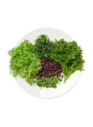 From UAE Madar Farms Pepper it Up! Salad Mix, 100g