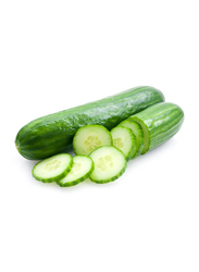 Local Cucumber UAE, 500 to 600g (Approx)