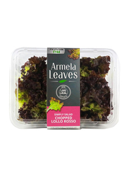 Armela Leaves Chopped Lollo Rosso Lettuce UAE, 100g