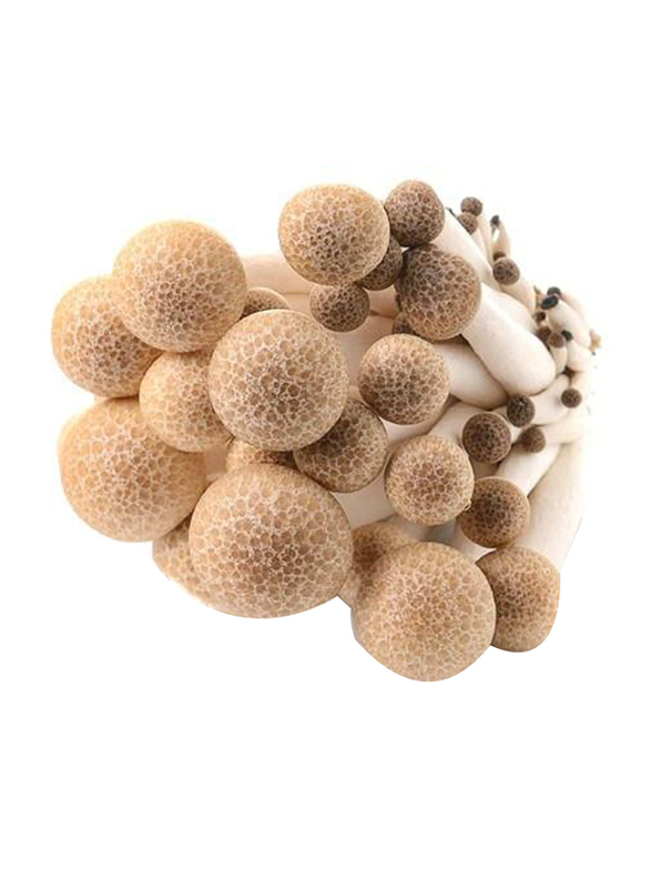 From China Brown Shimeji Mushroom, 150g