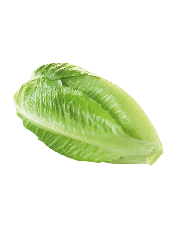 

Generic From UAE Organic Lettuce, 500g