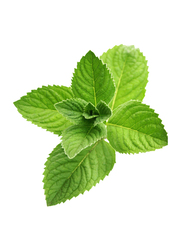Mint Leaves Bunch UAE, 100g (Approx)