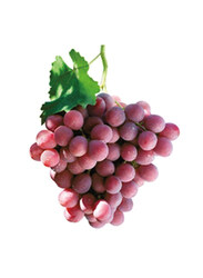 Globe Red Grapes, 500g