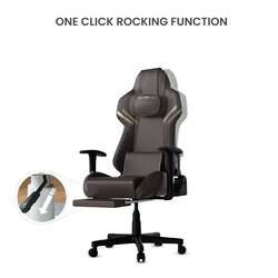 Rotai E16 2 in 1 Gaming Office Chair cum Massage Chair