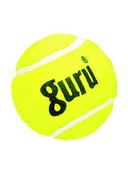 Guru 30-Piece Heavy Weight Cricket Tennis Ball Set, Yellow