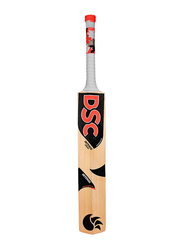 DSC Kashmir Willow Cricket Bat, Multicolour