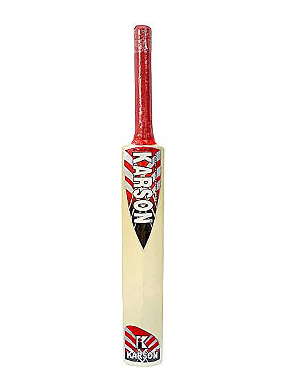 

Karson Size-2 T-10 World Cup Edition Junior Cricket Bat, Multicolour