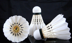 Yang Yang 300B Badminton Shuttlecock, 12 Piece, White