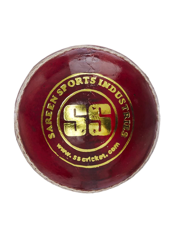SS Leather World Cricket Ball, 12 Piece, Brown