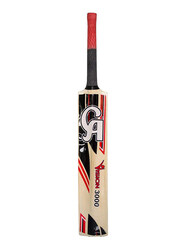 CA Vision 3000 Cricket Bat, Multicolor