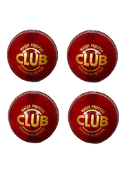 SS Club Cricket Cricket Ball, 3 Pieces, Red