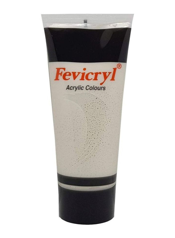 Fevicryl Acrylic Paint Color Tube, AC24-200T, 200ml, Silver