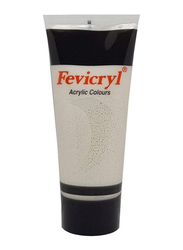 Fevicryl Acrylic Paint Color Tube, AC24-200T, 200ml, Silver