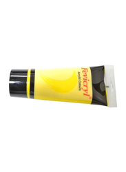 Fevicryl Acrylic Paint Colour Tube, 200ml, AC07 Primary Yellow