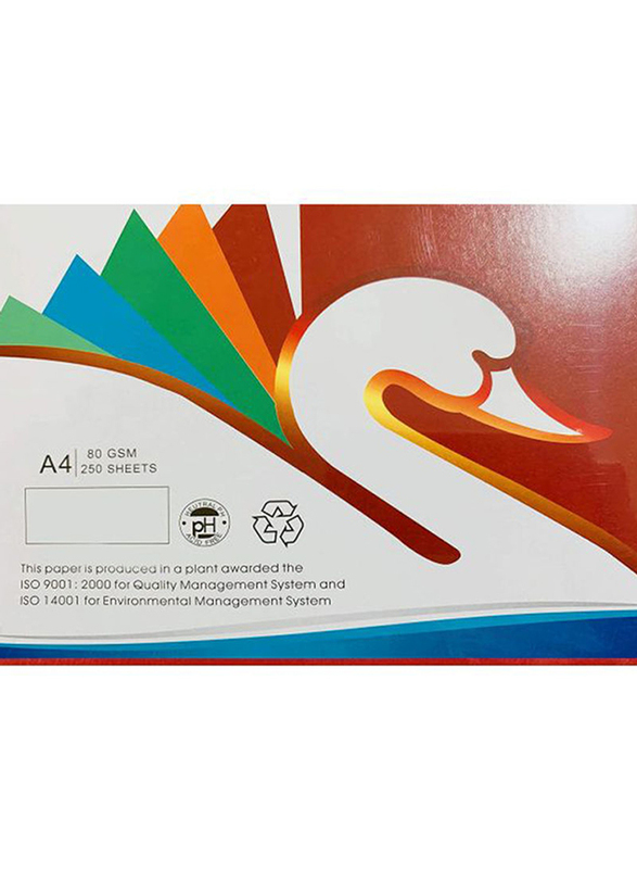 Rainbow Color Paper, 250 Sheets, 80 GSM, A4 Size, Multicolor